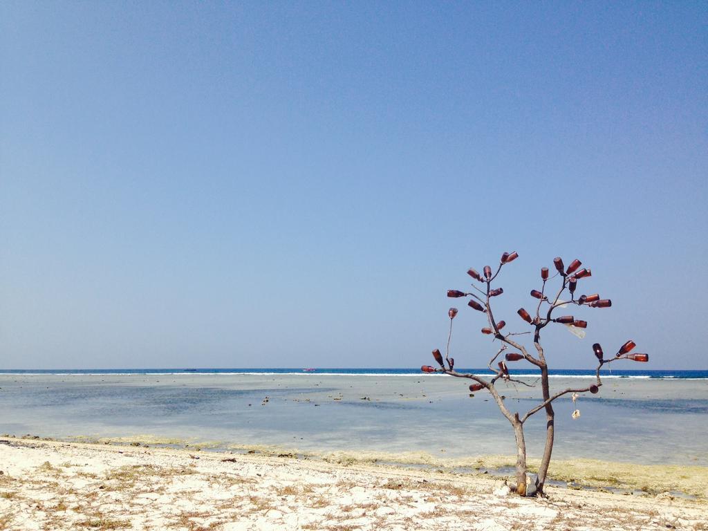 Three Little Birds Homestay Gili Trawangan Exterior foto